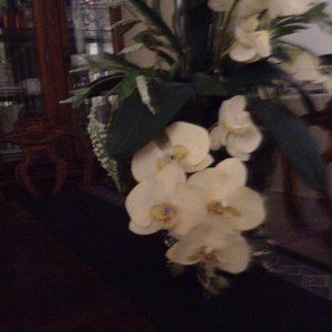 Meet your Posher, Joy